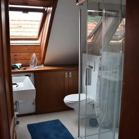 Apartman Mala Strana Prague Exterior photo