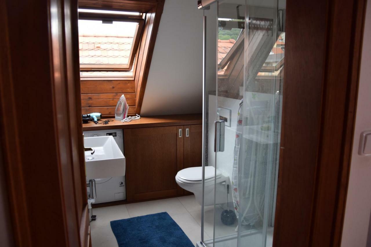 Mala Strana Apartment Prague